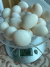 均鲜大个种鸽蛋礼盒装新鲜鸽子蛋杂粮喂养养殖信鸽蛋白鸽蛋孕妇宝宝 30枚 750g 大个种鸽蛋水墨绿礼盒装 实拍图