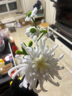 乐哲花杆扭扭棒铁丝手工玫瑰花束diy材料包仿真花艺胶带送女友礼物 实拍图