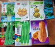 干枝梅特长豆角种子高产早熟抗病长豆角种子四季爬藤豇豆种籽易种 【摘不败】长缸豆种子约100粒2包 实拍图