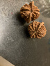 山中玉文玩核桃狮子头闷尖手把件古玩麻核桃秋子核头爸妈新年送礼物原色 【精配】进阶级41-42mm满天星1对 实拍图