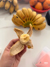 立始广西小米蕉酸甜拇指小香蕉青色硬果(小个品种催熟食用) 净重5斤(小个品种需催熟) 实拍图