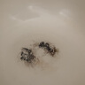 金嫂子鹅卵石陶瓷不粘锅陶瓷釉家用大容量多功能煎炸煮炒菜锅电磁炉煤气 锅盖+锅铲+百洁布+锅 32cm 实拍图