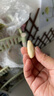 京喜自营大蒜头紫白皮大蒜京东买菜生鲜调料即食凉拌大蒜 【福利专享】3头 50g 单果3.5-5cm 实拍图