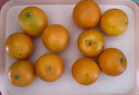 京喜加伦晚夏橙脐橙手剥橙 带箱2.5斤小果55+ 实拍图