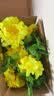 永寿祥清明扫墓祭祀用品全套墓地墓碑高档仿真假花拉花绢花圈插花葫芦苹果绸子大红花上坟拜祭挂花殡葬用品 【拉花】4色各1条 实拍图