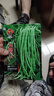 春秋无架豆种子无架豇豆种籽庭院阳台盆栽地栽易种活蔬菜豆角种籽 无架豆种子【5包约250粒】 原厂封装 实拍图