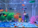 LISM鱼缸造景悬浮摆件潜孙悟空桃白白观赏饰品漂浮创意水族箱装饰 红衣悟空(带鱼线和球) 实拍图