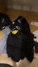 耐克（NIKE）男运动裤 春秋针织束脚休闲裤 舒适休闲 CK6366-010 黑 XL 实拍图