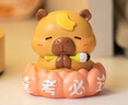 杞乐生日礼物女卡皮巴拉中高考励志伴手礼桌面摆件治愈系汽车工位装饰 卡皮巴拉小摆件（逢考必过） 实拍图