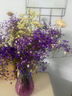 爱满（AIMAN）满天星天然干花花束ins网红生日 新房装饰摆件风干真插花家居摆设 紫色满天星+黄水晶+5支小雏菊  【带M款花瓶】 实拍图