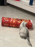 乐优派猫隧道猫玩具自嗨解闷神器钻洞猫通道迷宫可折叠逗猫 鲤鱼款 实拍图