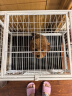 獒少保狗笼方管狗笼子大中小型犬金毛加粗宠物狗狗笼子狗屋用品 白色带天窗 62*46*57cm 建议15斤内小型犬 实拍图