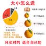 江西赣南橙子脐橙当季新鲜水果榨汁产地直发多汁礼盒装节日团 【30%人选】净重18斤单个160g+ 实拍图