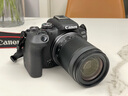 佳能r10 微单相机 轻量小型 APS-C画幅 eos r10 高速连拍 踏青 打鸟vlog数码照相机 R10 18-150中长焦变焦套机【一镜走天下】 官方标配【不含内存卡相机包等必要配件 推荐选套 实拍图