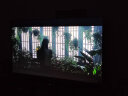 超彩王牌【电视机排行前十名】新品无边框4K液晶平板电视机超高清防蓝光智能护眼网络客厅家用老人无线投屏 65英寸 无边框智能网络旗舰版 售后无忧+语音AI+送货入户+品牌延保+免费安装 实拍图