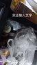 飞利浦（PHILIPS）车载冰箱 车家两用 压缩机制冷 冷冻冷藏TB7101 户外家居用品 实拍图