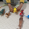哲高积木拼装恐龙合体机甲霸王龙三角龙翼龙拼插玩具儿童男孩生日礼物 迅猛龙【拍六款可合体】 实拍图