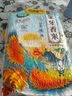 绿宝贡当季新米南方农家象牙猫牙米优质丝苗晚稻 象牙香米2.5KG 实拍图