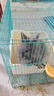比克熊 兔子厕所蓝色龙猫荷兰猪便盆防翻固定尿盆宠物用品方形大号 实拍图