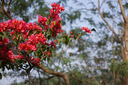 永诺（YONGNUO） YN50mm F1.8适用于索尼口适用于尼康口微单大光圈自动对焦镜头 YN50mm F1.8S 索尼E口半画幅 实拍图