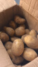 恩施小土豆新鲜马铃薯农家黄心洋芋现挖蔬菜马铃薯 9斤 大果 鹅蛋大小左右 实拍图