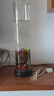 观音竹水培带根米竹盆栽微景观鱼缸 苔藓球+（玻璃瓶高50宽15） 最少30cm高 晒单实拍图