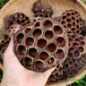 天然新货莲房 干莲房 中草药材 莲蓬壳 莲子壳 连房 莲蓬孕妇干逢 干莲房整个250克 实拍图