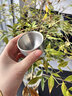 北山狼   户外便携不锈钢功夫茶具泡茶器旅行茶壶露营煮茶收纳专用套装 茶壶套装+1.1L山川 实拍图