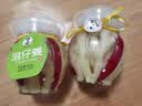 格沃斯（GEWOSI）新货泡姜芽嫩姜即食四川泡菜正宗农家菜下饭菜泡姜芽嫩姜蔬菜生鲜 坛装泡姜芽800克*2坛1600g 头茬嫩姜芽脆爽可口 配啥都下饭 实拍图