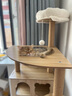 珑小宠猫爬架大型猫窝猫架四季通用宠物猫玩具 剑麻猫爬树猫抓板猫跳台 【1.46m】多层款猫爬架 实拍图