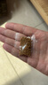 【京东物流】宠物龟粮巴西乌龟粮 彩色龟粮小颗粒饲料补充食物 1包龟粮【拉新专享】 实拍图