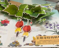 揭秘立体翻翻书 奇趣植物立体书（盒装）翻翻页震撼立体效果展示奇异的植物王国 实拍图