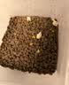 WOWO喔喔猫粮 无谷物大蓝包冻干三鲜全价成猫粮幼猫粮通用猫干粮 【双拼】鳕鱼虾+海苔 10KG 实拍图