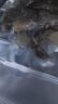 百鲜洽大虾仁特级鲜冻青虾仁即食低脂去虾线冰冻鲜活速冻冷冻虾肉商用 500g*3袋 共 3斤(净重) 实拍图