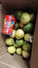 爱鲜摘农场 广西钦蜜9号黄金百香果礼品白香新鲜现摘整箱水果礼盒送礼中秋甜 7A级｜单果60g-70g【狠甜】 5斤礼箱装【出口级品质】净4.5斤 实拍图