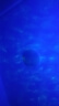 爆款投影灯旋转水波纹氛围灯可触控可遥控水纹灯卧室床头情人节礼物男女实用动态小夜灯台灯 【星空16色】充电/触摸开关/带遥控 实拍图