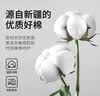 蓓安适一次性内裤男士平角纯棉【6盒装24条】大码无菌免洗男灰3XL 实拍图