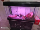西龙中大鱼缸客厅家用落地懒人生态免换水带柜子一体自循环金鱼水族箱 120CM鱼缸+木地柜+造景 实拍图
