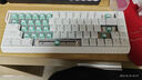 佳达隆（GATERON）磁玉轴PRO二代磁玉高精度可调节键程加长弹簧HIFI麻将音厂润封底机械键盘游戏开关配件 佳达隆磁玉轴PRO （5颗装） 实拍图