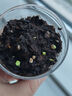 IAM City Farmer含羞草种植盆栽 小学生科学趣味diy盆栽 植物观察窗发芽生长10032 实拍图