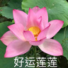 雅鹿·自由自在被套220*240cm被罩单件水洗棉磨毛单人2.2x2.4米双人家用 深灰 实拍图