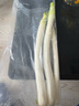 京鲜生家美舒达 山东 大葱 铁杆葱 净葱 700g 新鲜蔬菜 实拍图