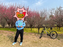 大疆（DJI）Mini 3 航拍无人机 便携可折叠无人机航拍飞行器 Mini 3 畅飞套装（带屏）【赠配件礼包】 官方标配（不含随心换） 标配(不含内存卡) 实拍图
