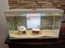 喜高超白玻璃鱼缸智能鱼缸免换水小型客厅水族箱一体式过滤氧气鱼缸 白-鱼缸+加热棒 485*225*283mm 实拍图