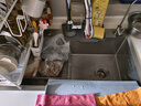 松派厨房水槽304不锈钢水槽双改大单槽水池盆洗菜盆台下盆洗碗槽 右排0涂层+抽拉龙头+洗杯器+净水 780*430mm【国标SUS304假一赔十】 实拍图