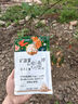 施奇土壤活化宝活化剂速溶矿源黄腐酸钾菌肥营养液防板结黑水花肥料 实拍图