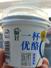 伊利一杯优酪经典原味100g/杯 低温酸奶风味发酵乳早餐牛奶 原味100g*15杯 实拍图