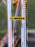 水族鱼缸温度计观赏鱼温度表挂钩热带鱼乌龟缸水温计 小黄棒+小白棒+小胖+挂钩【全福】 实拍图