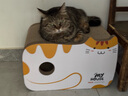 田田猫高密度瓦楞纸猫抓板汽车猫房子猫窝猫玩具耐磨耐抓猫用品猫薄荷 实拍图