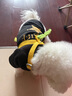 嬉皮狗摇摇乐狗狗牵引绳背心式小型犬宠物胸背狗链 M码 建议4-10斤 实拍图